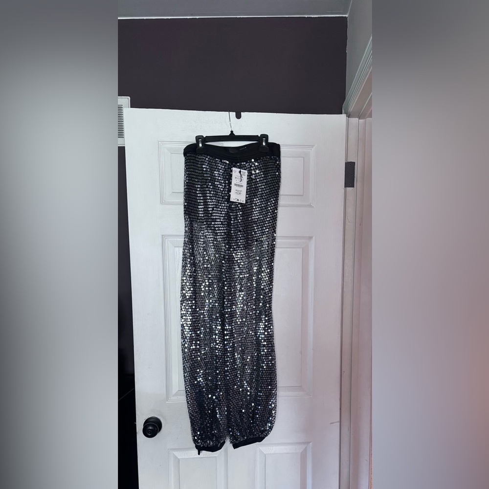 Zara Silver Sequin Cropped Pants